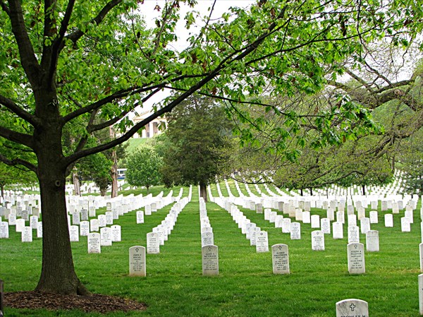 085-Арлингтонское национальное кладбище